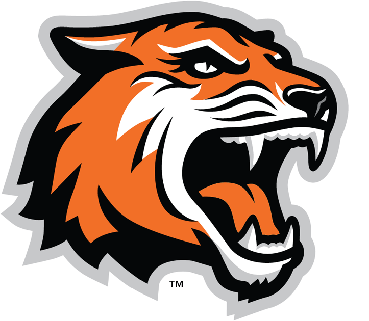 RIT Tigers 2004-Pres Alternate Logo v2 iron on transfers for fabric